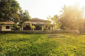 Best Ayurvedic Hospitals in Kerala for Holistic Healing

Kerala, often referred to as the...